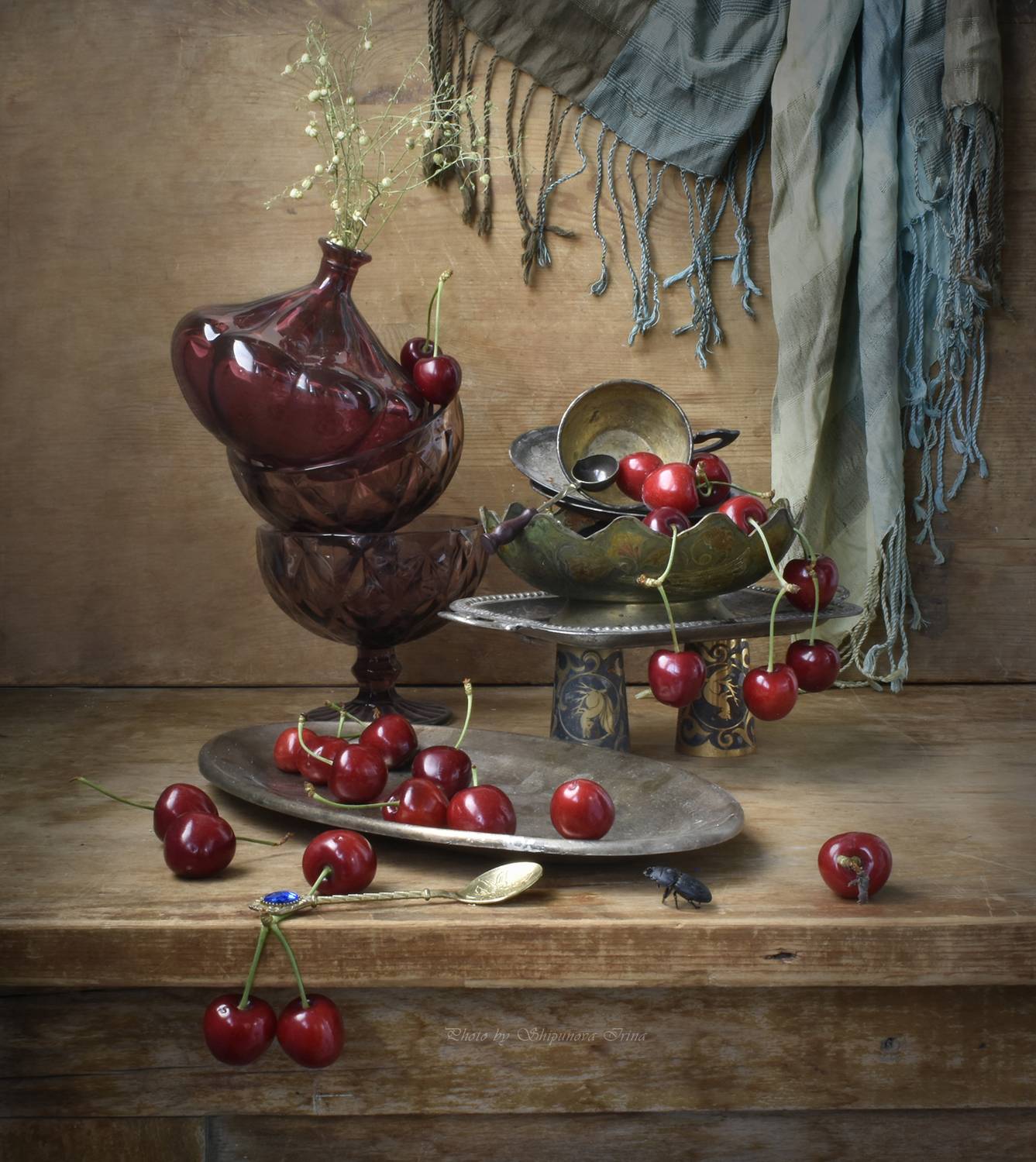 , Ирина Шипунова