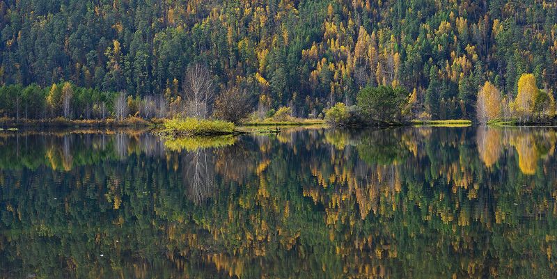 отражение, Ангара, Братск, баклан Гладь фото превью