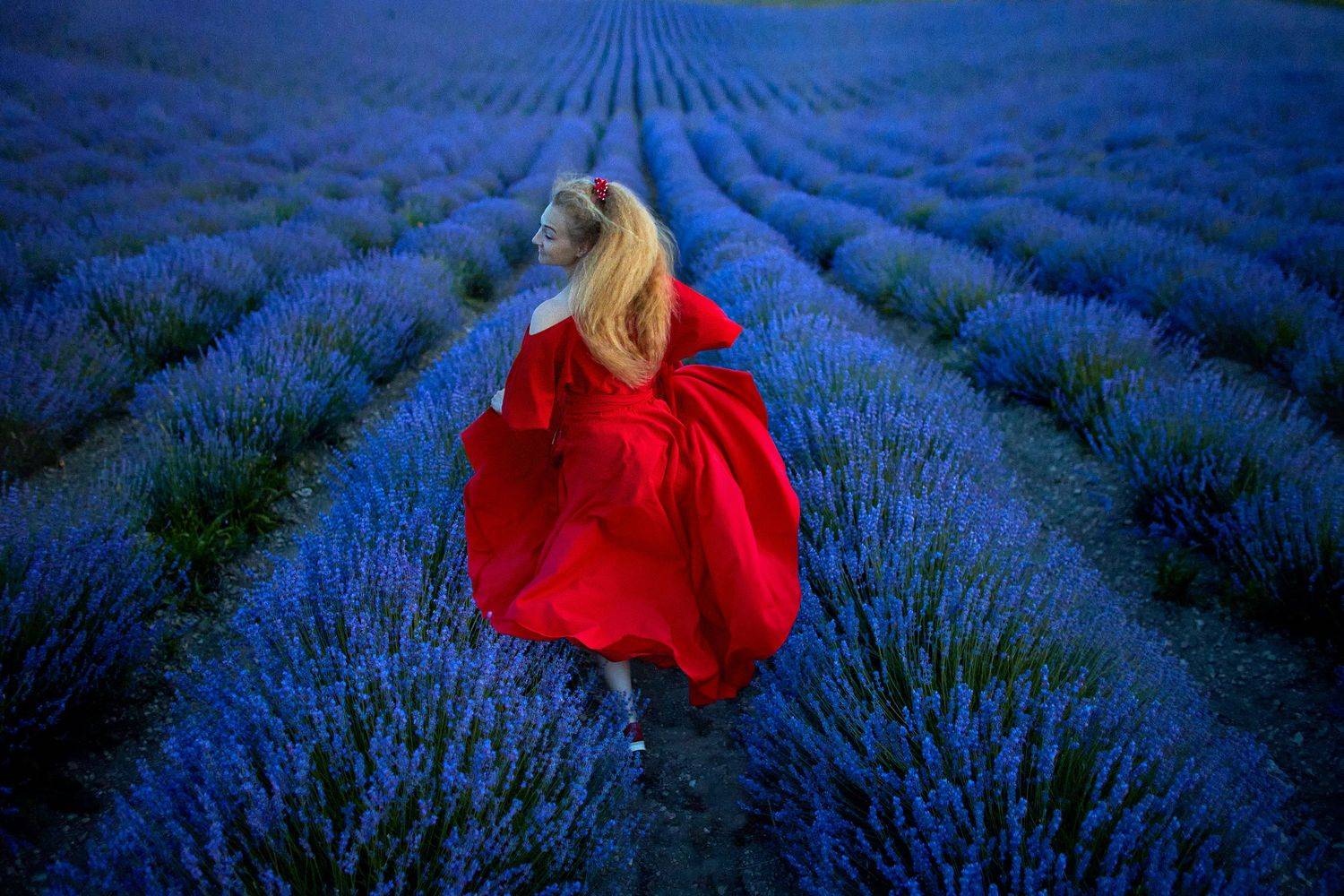 , Франгони Владимир