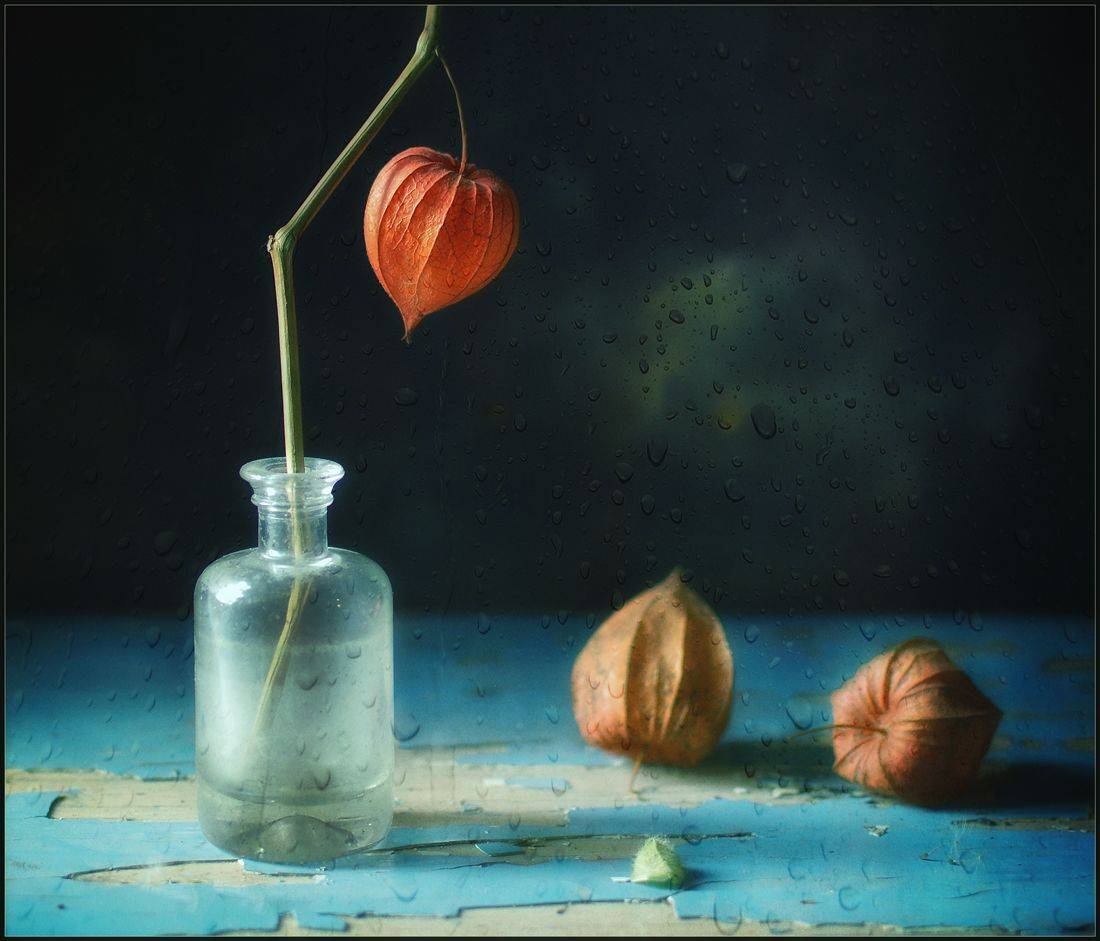 , Хромеев Александр