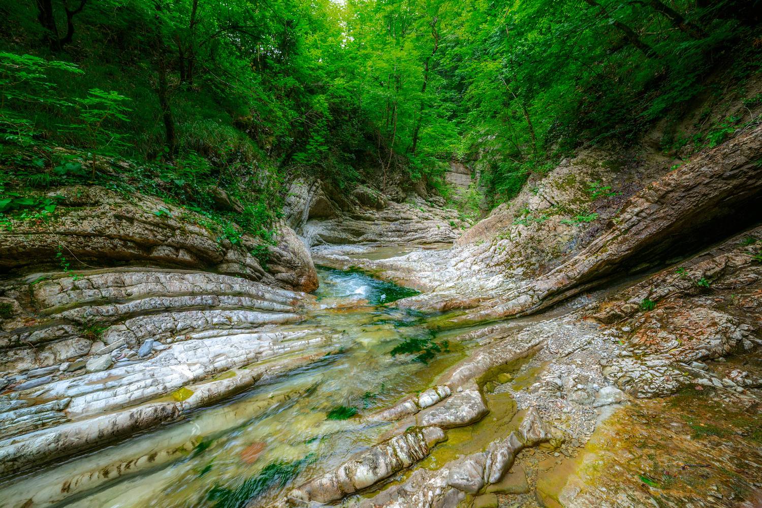 , Сергей Тихомиров
