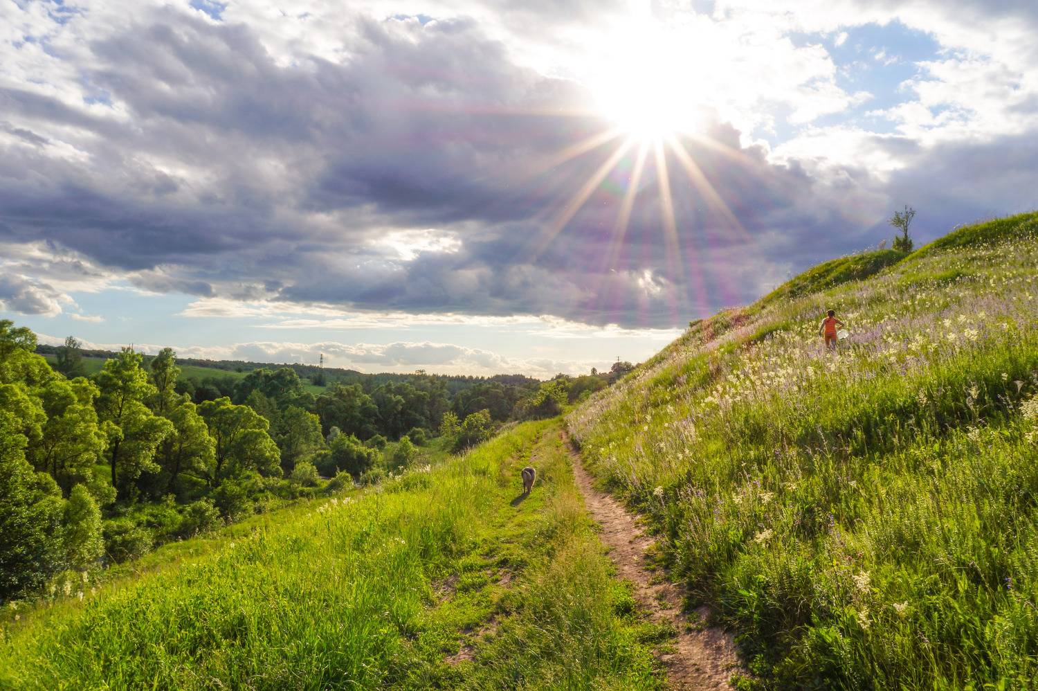 , Светлана Кондрашова