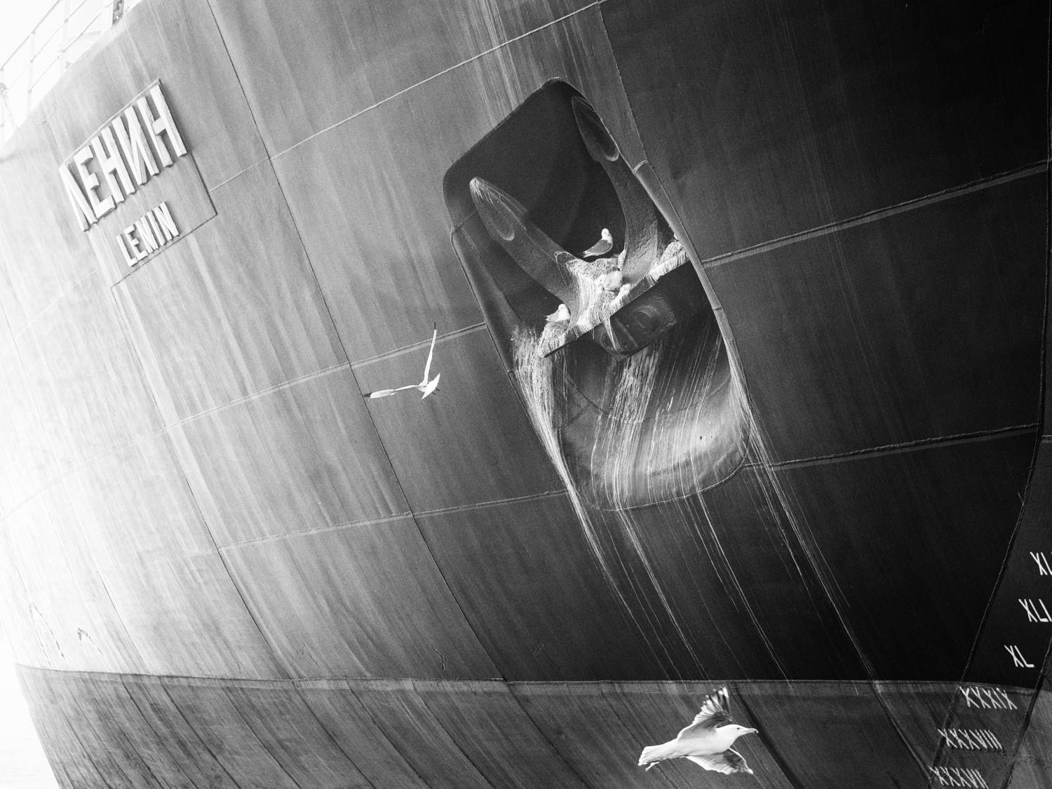 black and white, monochrome, murmansk, russia, Elena Beregatnova