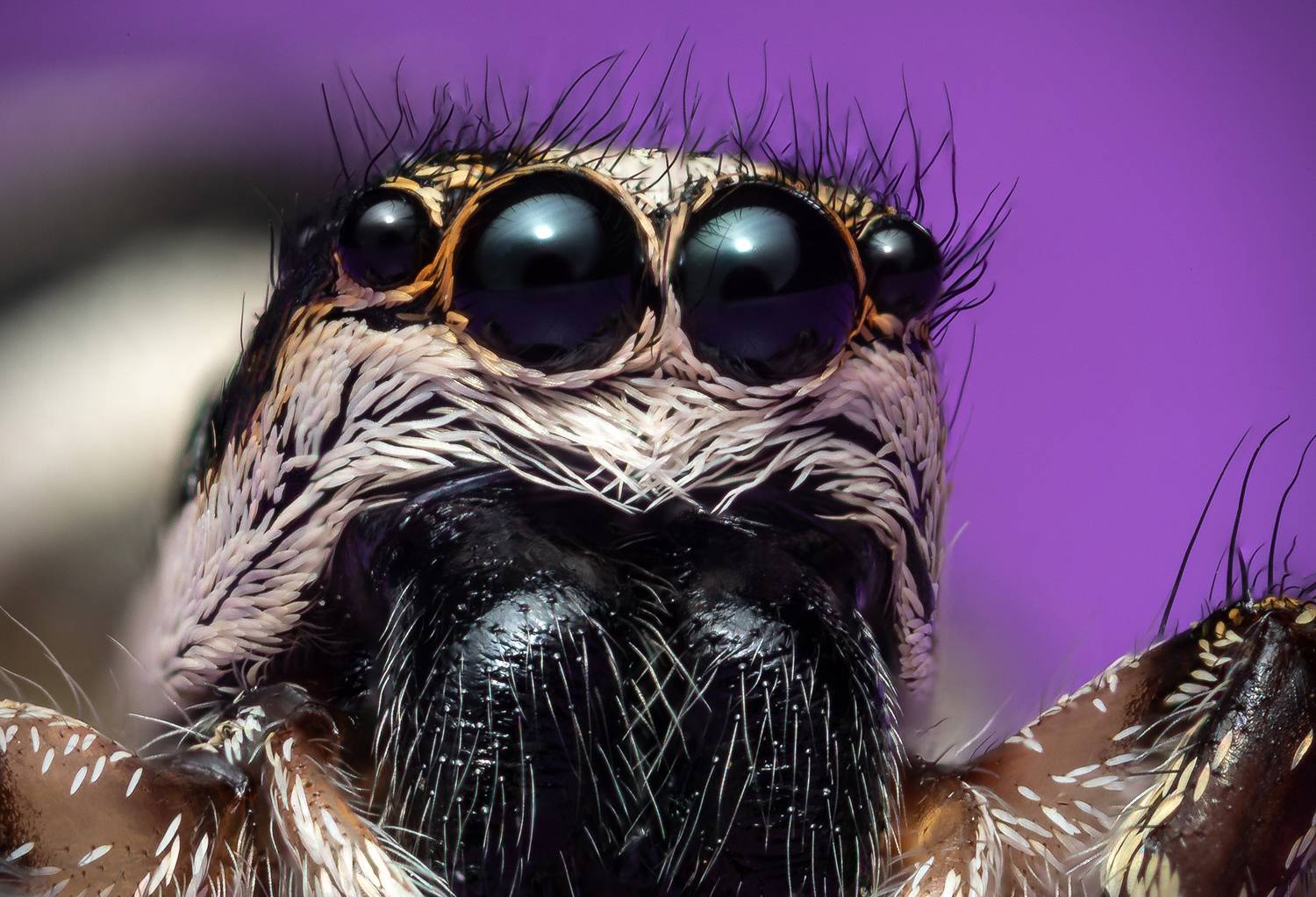 , Вячеслав Мельников