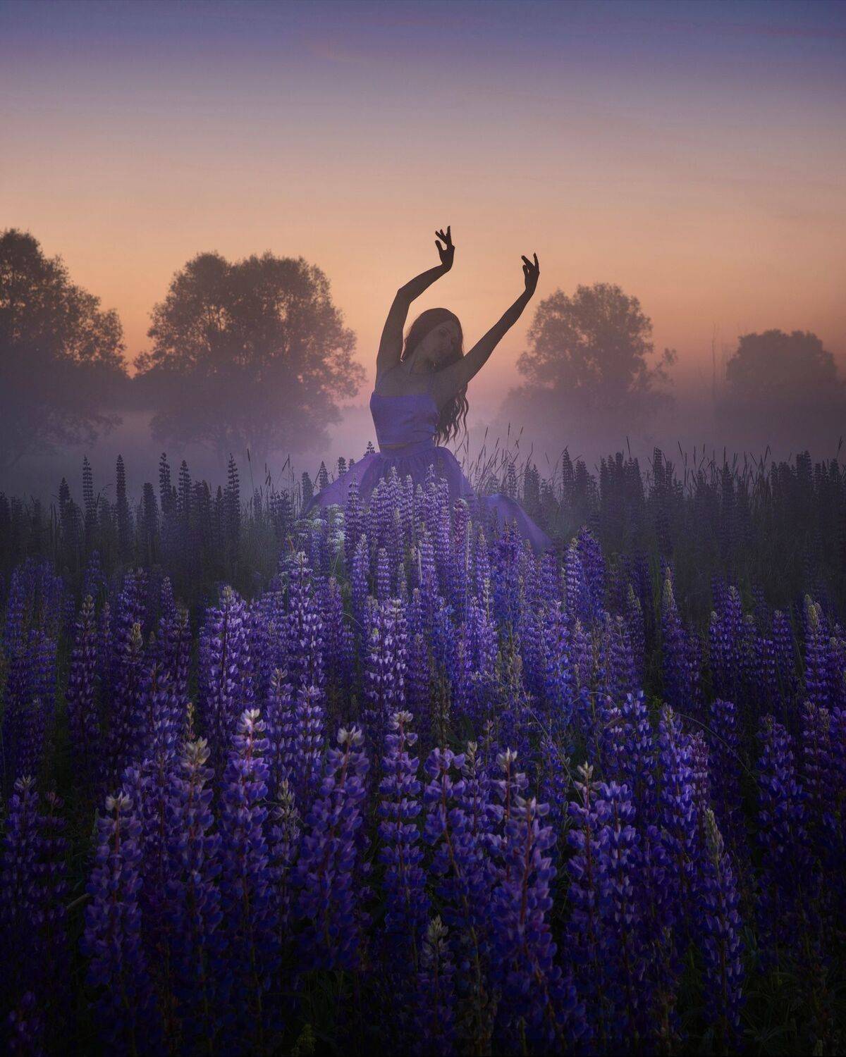 #люпины, #филипповское, Захарова Наталья