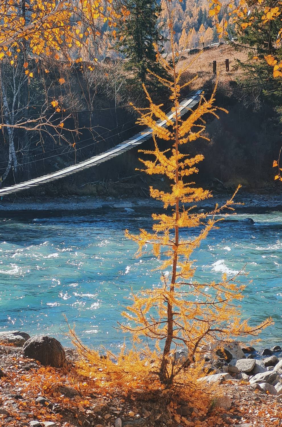 , Александр Кузовков