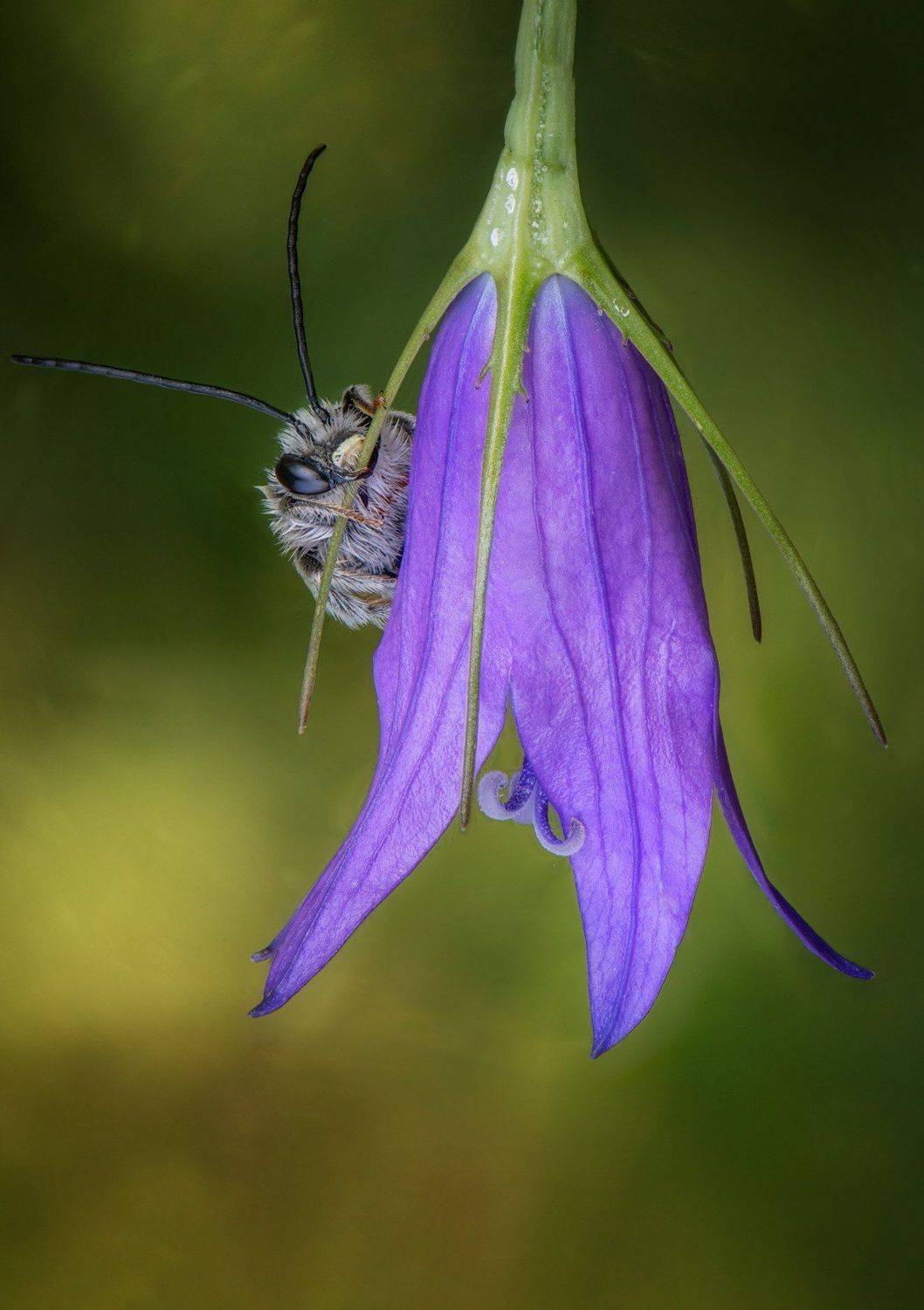 , Андрей Жила