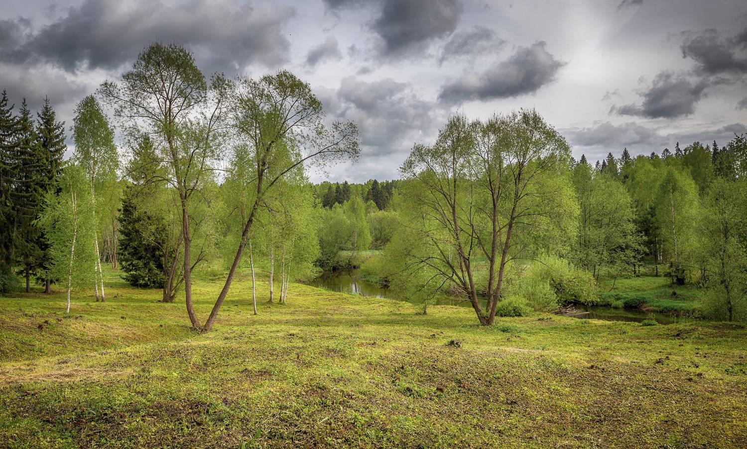 лес, река, май, весна, Сергей Аникин