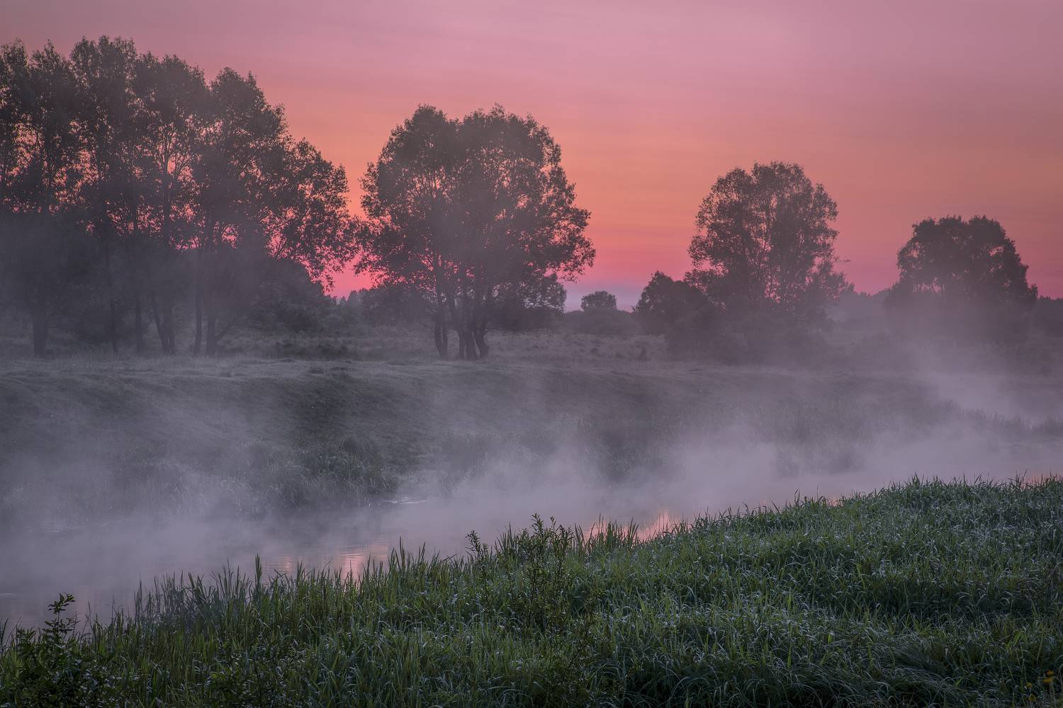 Владимирская область, Елена Гусева