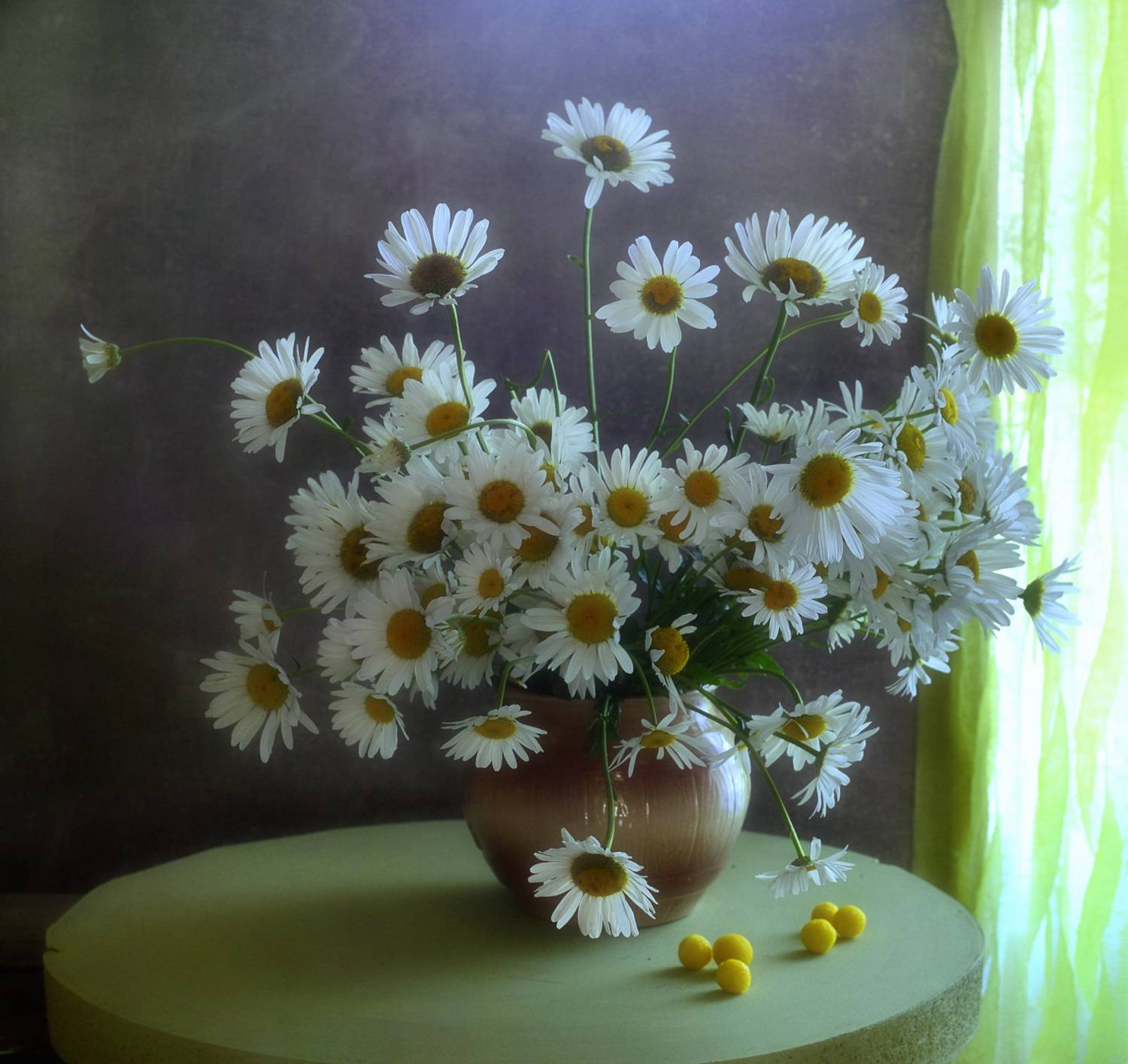 натюрморт,композиция,свет,лето,букет, Инаида