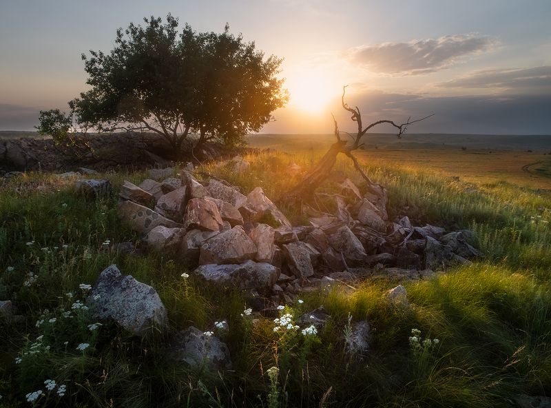 #ProStoneGraves фото превью