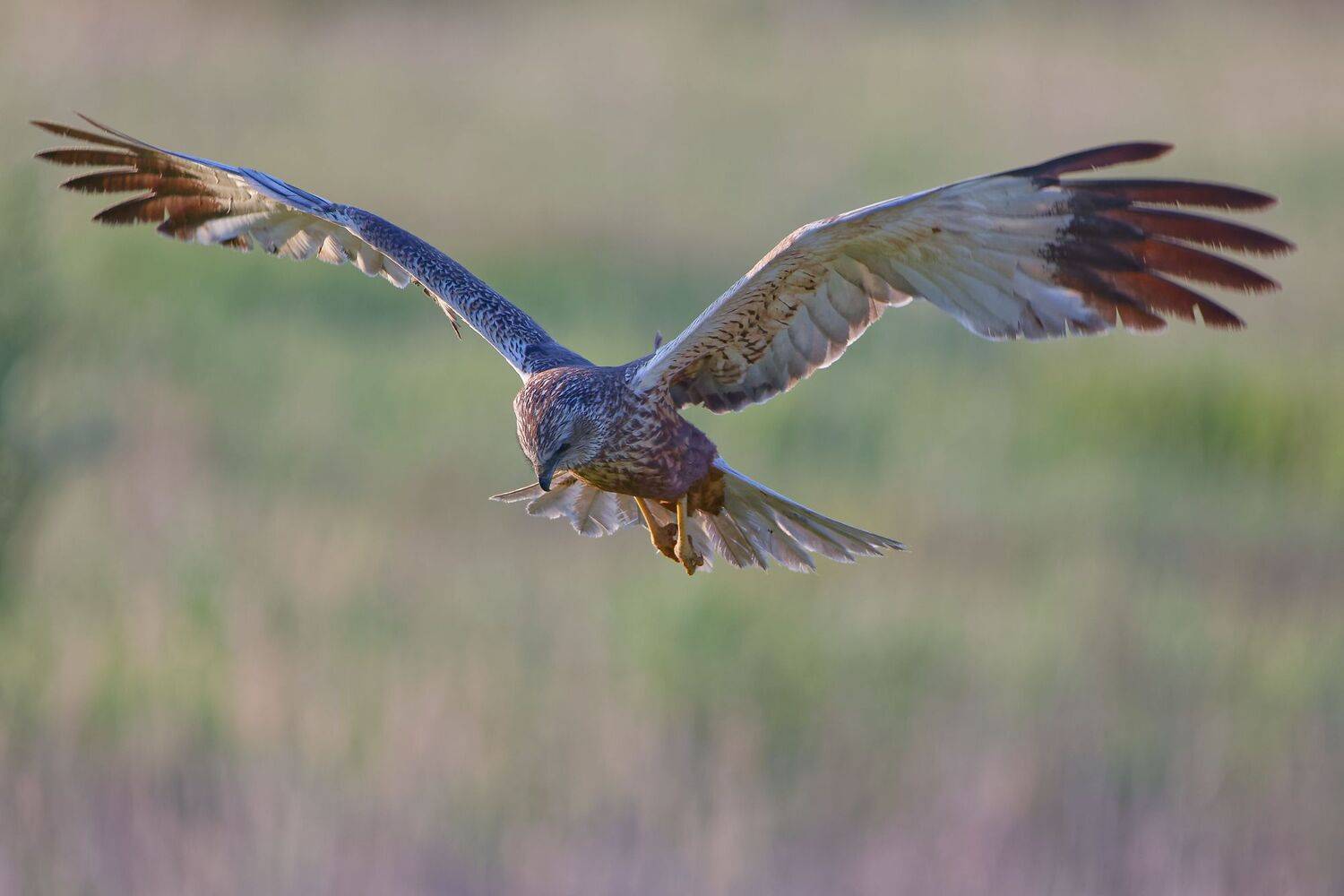 , Гильманов Артур