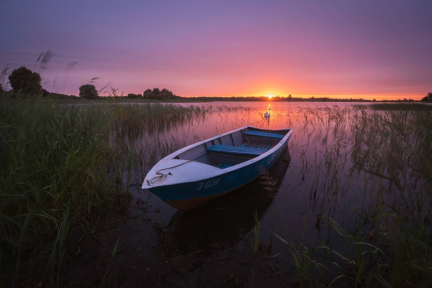 , Захаров Дмитрий