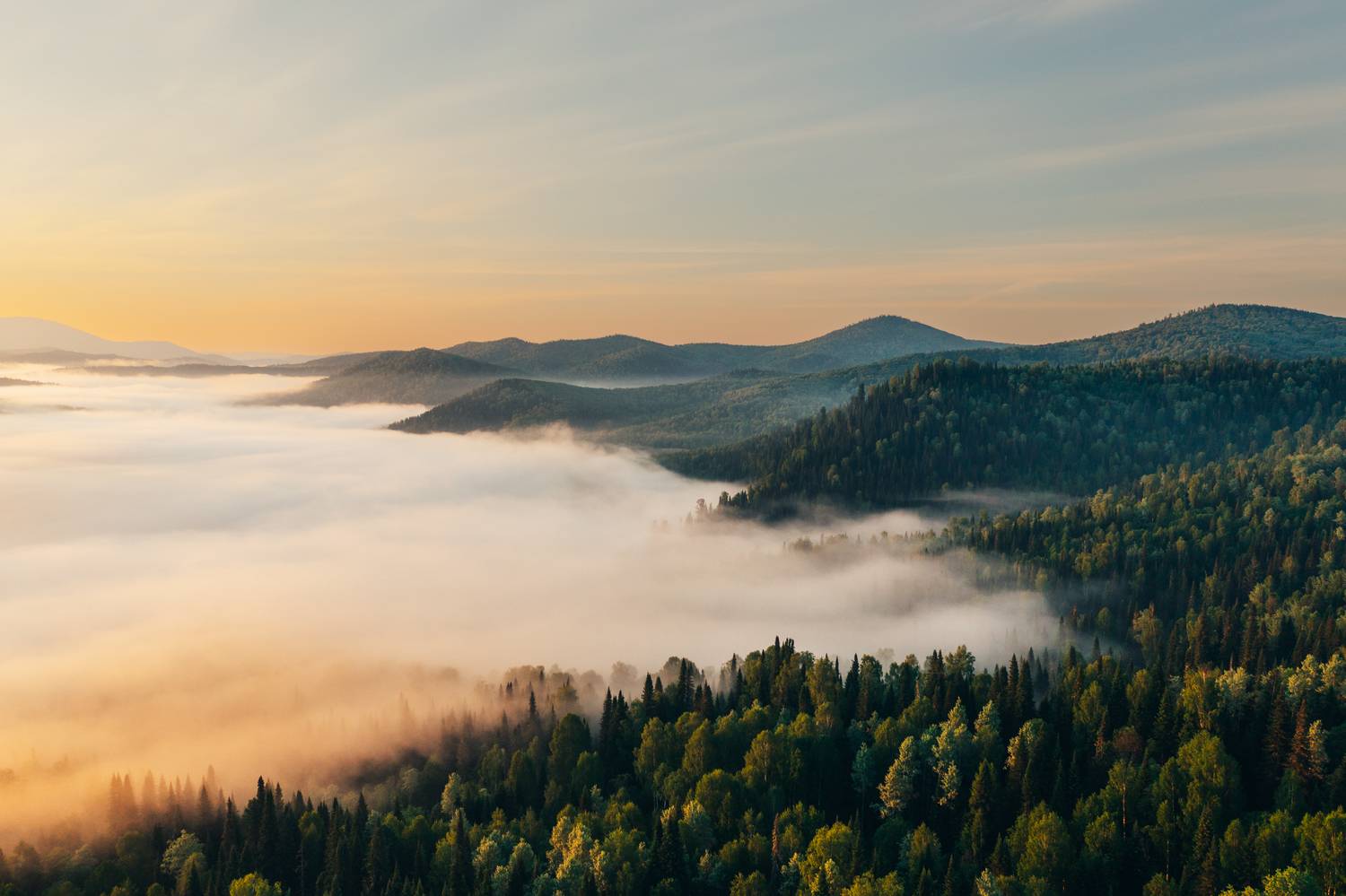 , Виктор Гагарин