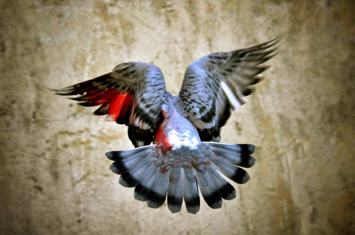 , غيث الساعدي