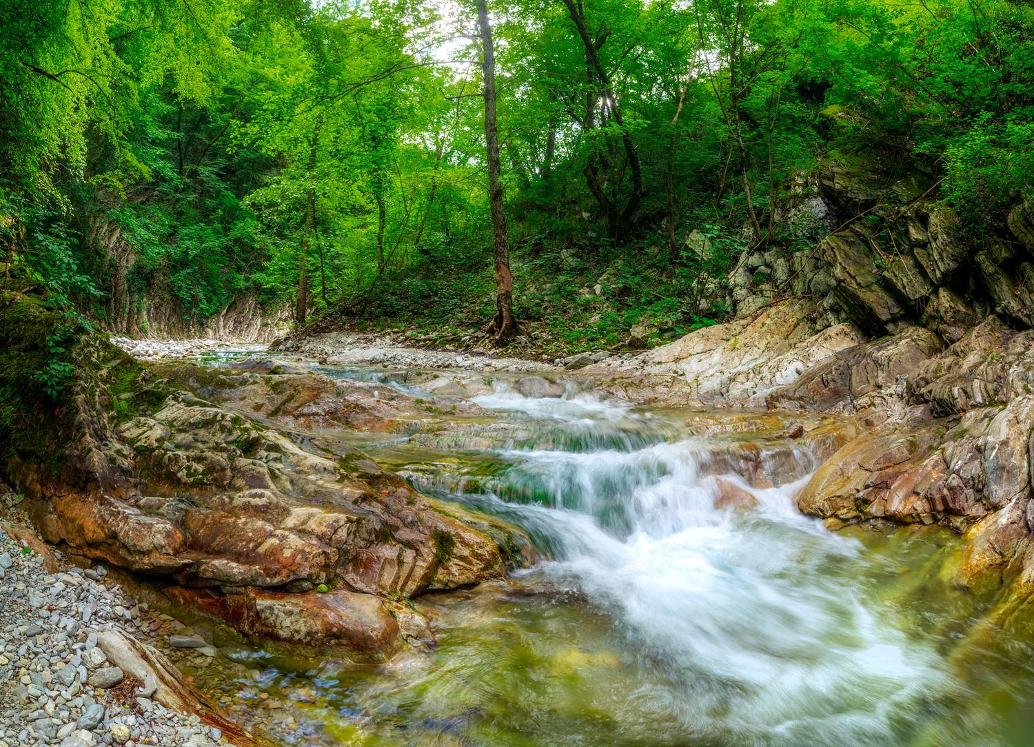 , Сергей Тихомиров