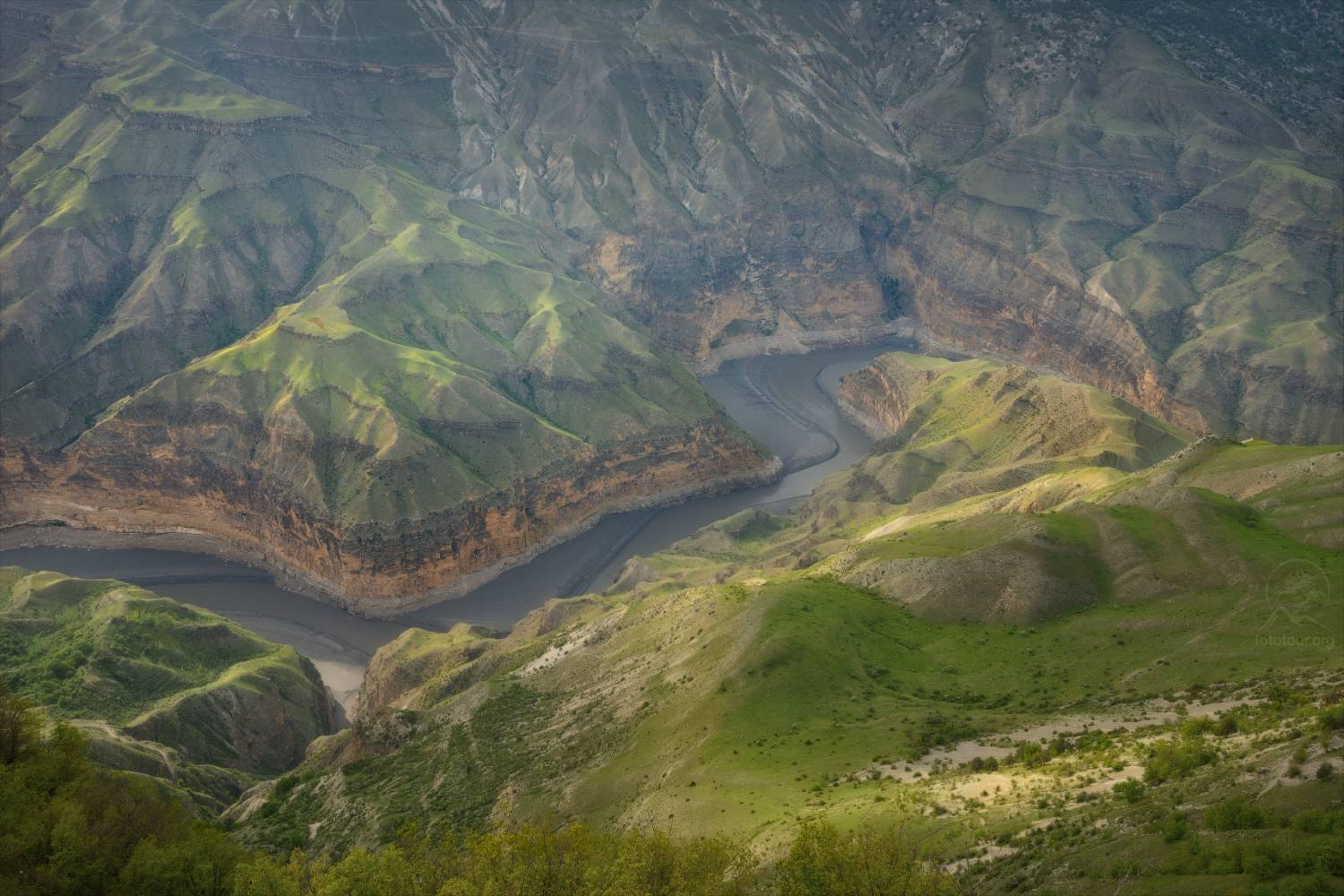 дагестан, горный дагестан, кавказ, фототур в дагестан,  деревья, река, горы, свет, весна, Гордиенко Анатолий