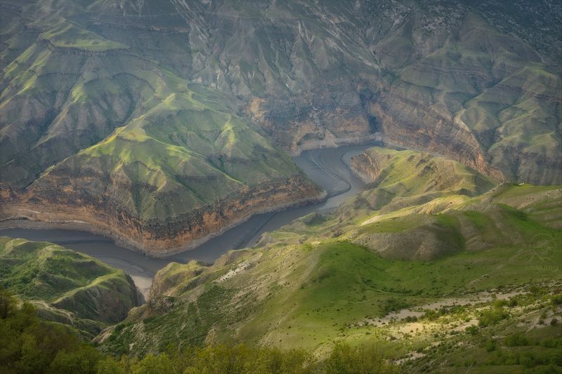 дагестан, горный дагестан, кавказ, фототур в дагестан,  деревья, река, горы, свет, весна Сулак фото превью