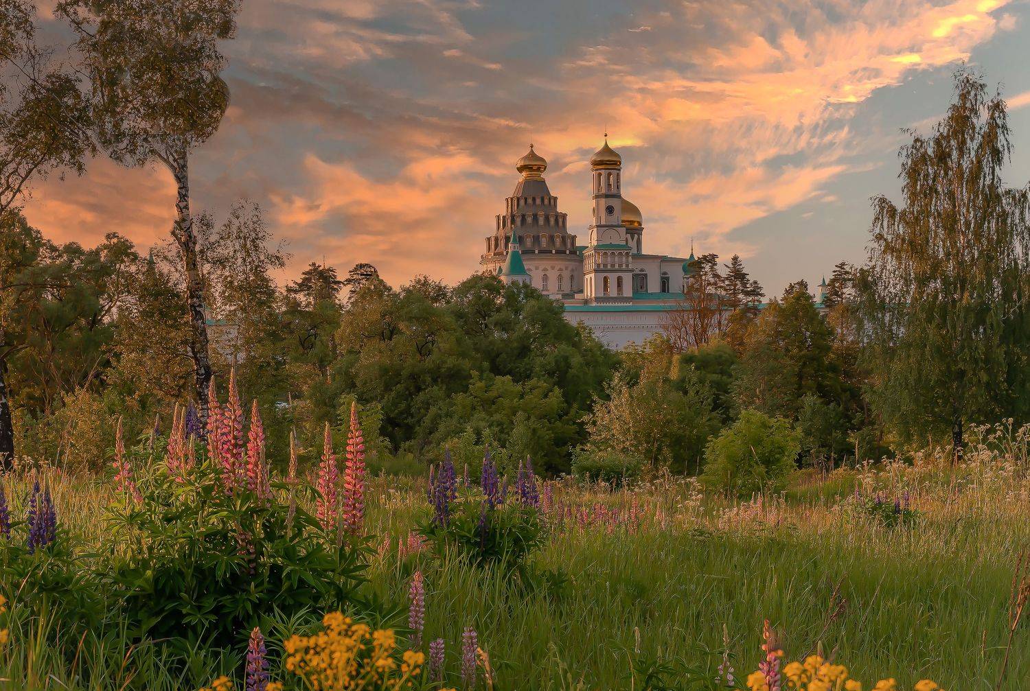 истра....мужской монастырь, Бирюков Вячеслав