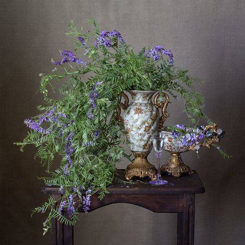 Vicia cracca...Мышиный горошек...
