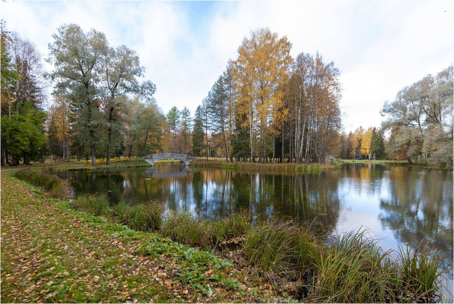 , Георгий Сапожников