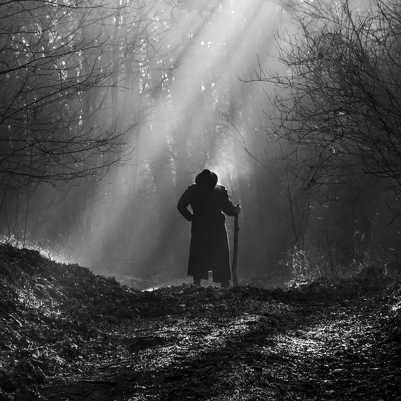 W światła cieniu фото превью