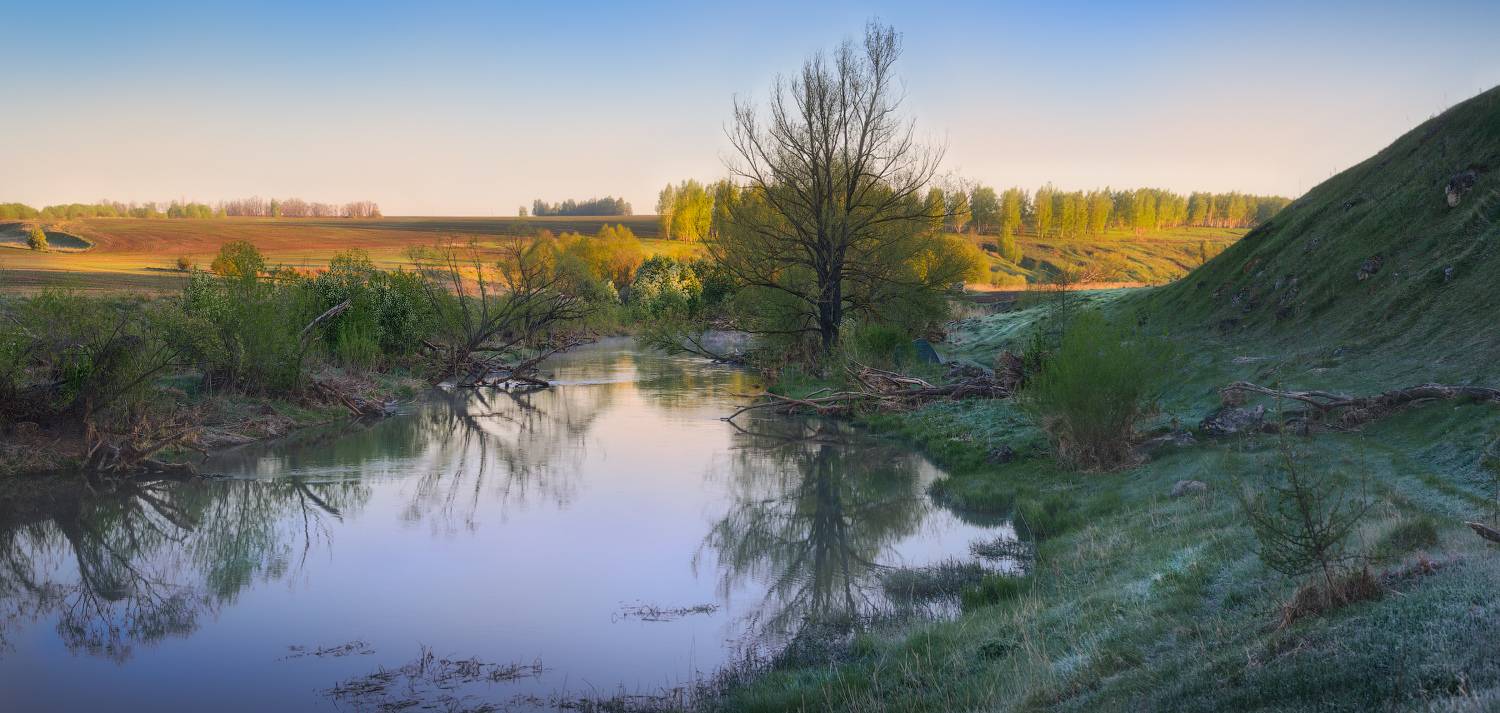 тула, венев, осетр, щучье, Сергей Кочергин