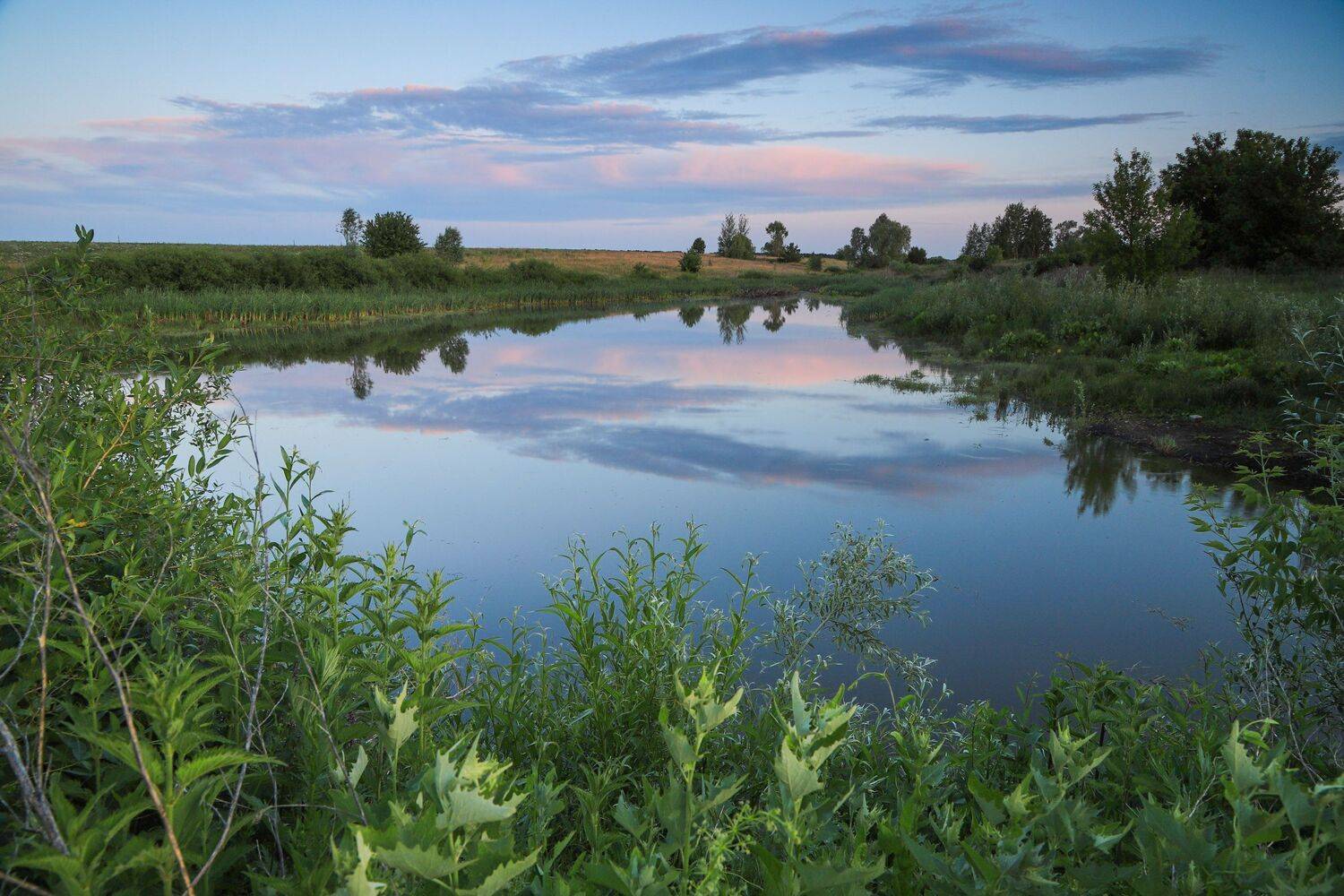 Вечер, пруд пейзаж, Юрий Морозов