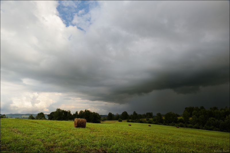 грлза, дождь, ненастье, лето, поле Перед грозой фото превью