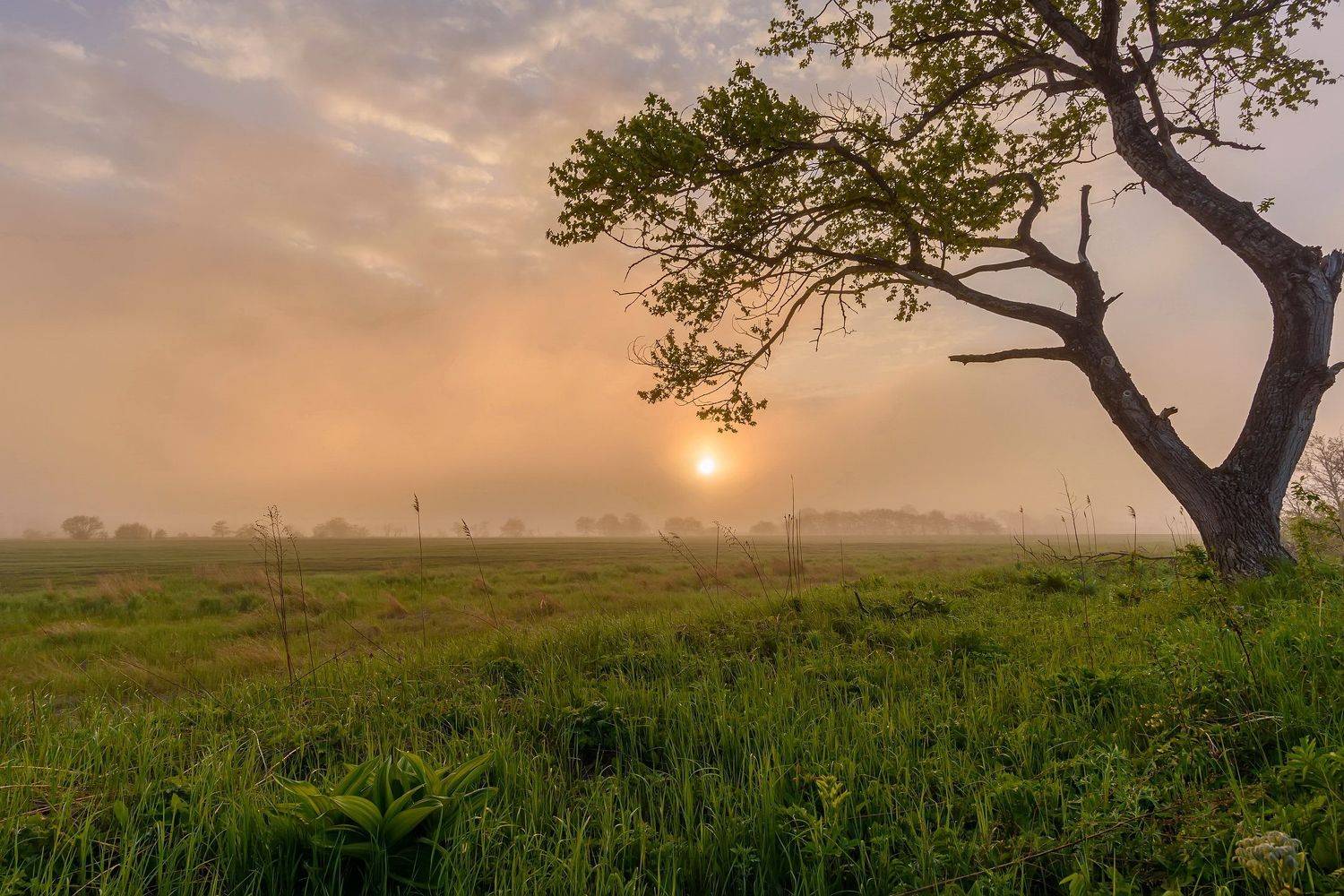весна, закат, руднаяпристань,  GeorgyPrimoretz