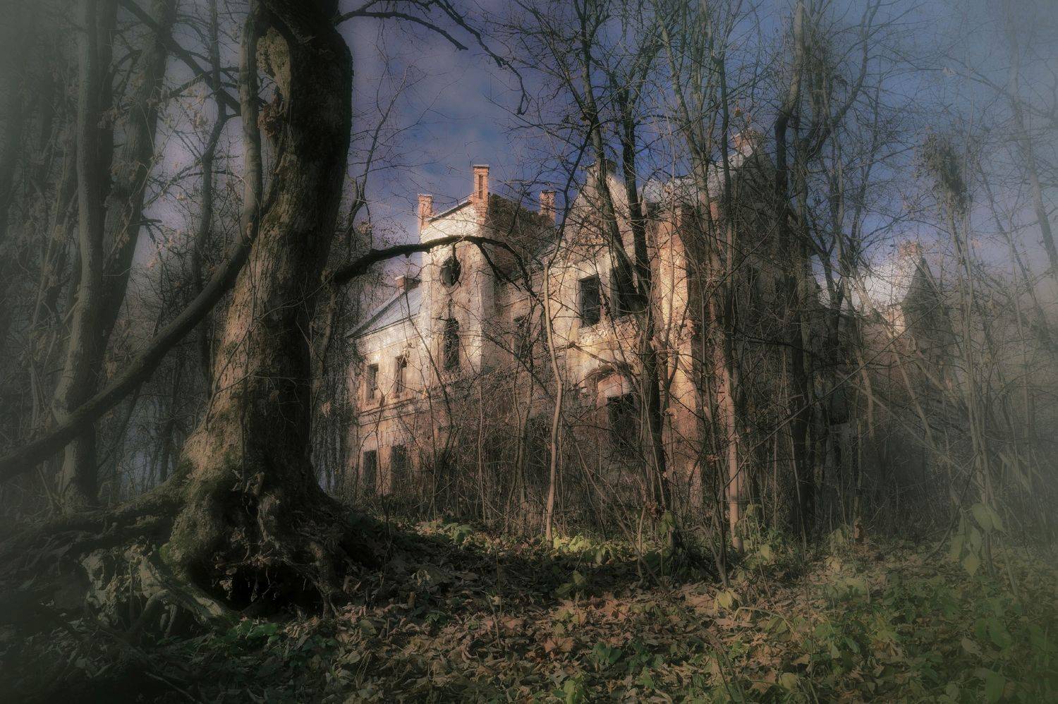 , Светлана Кондрашова