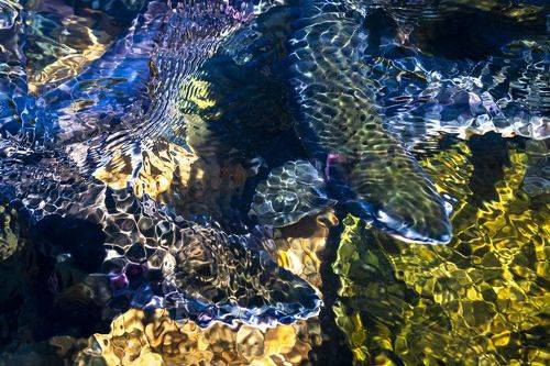 Возвращение домой