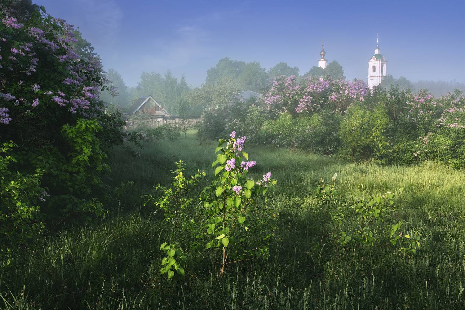 , Политова Анна