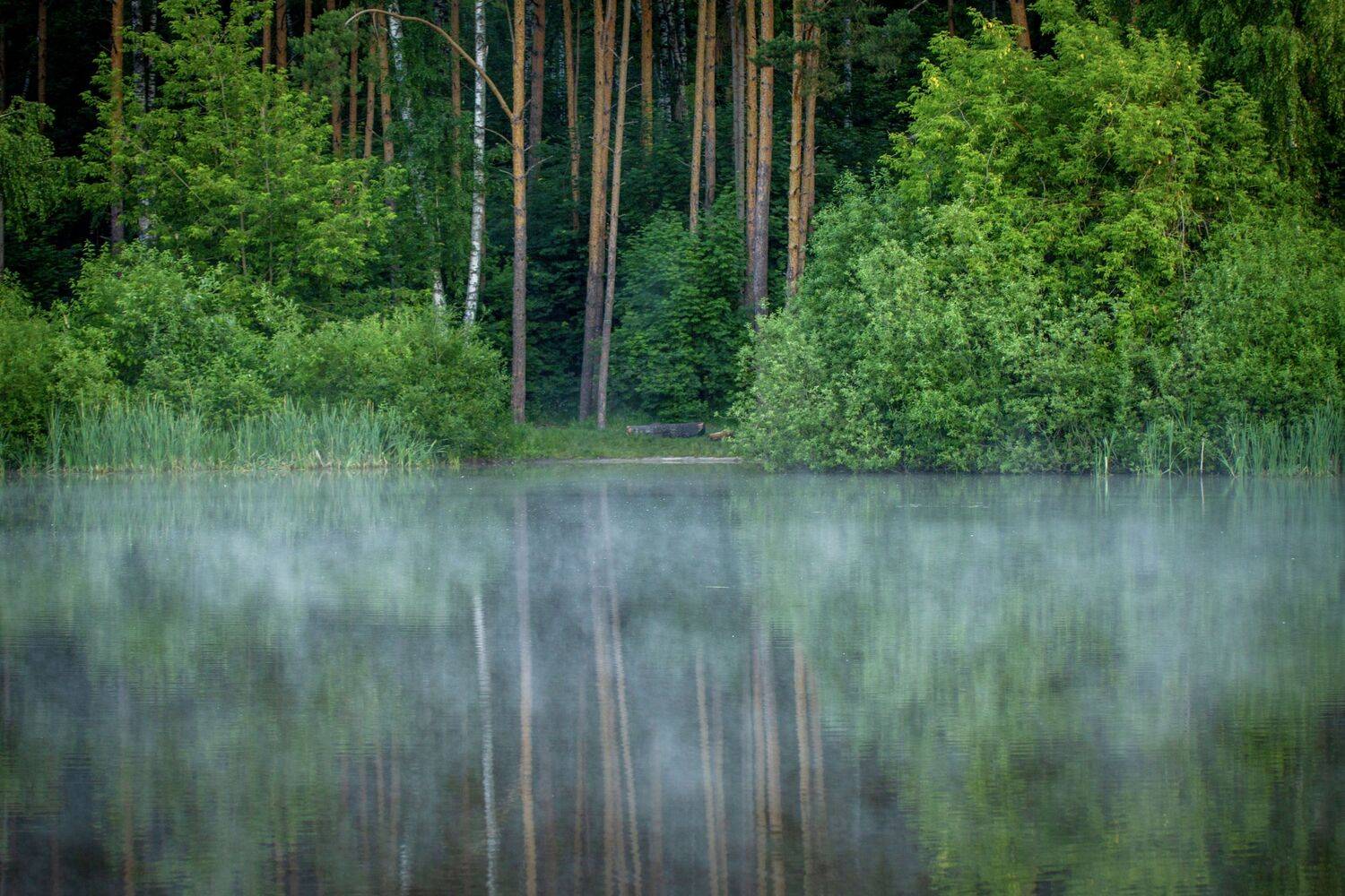 , Сергей Фаренюк