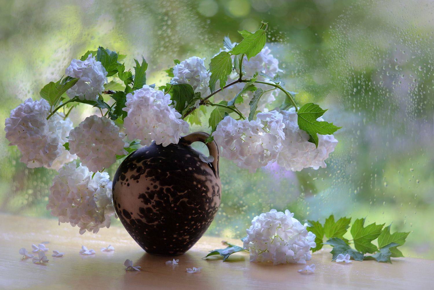 , Марина Никифорова