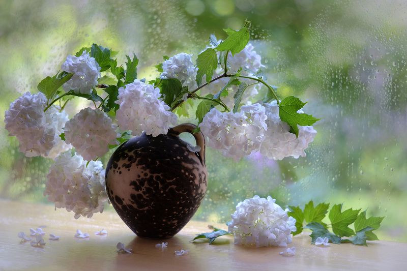 Снег в июне фото превью