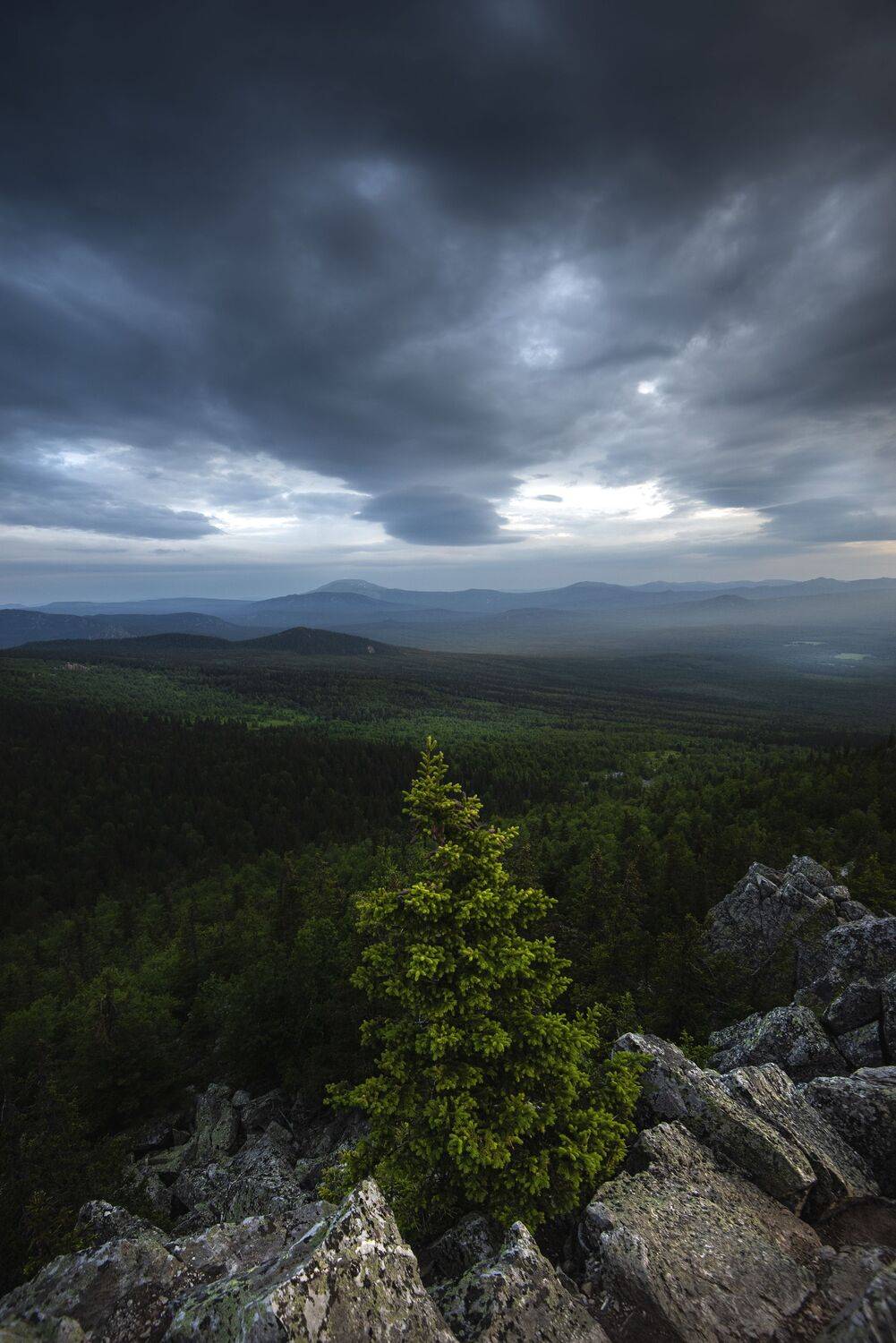 , Антонов Антон