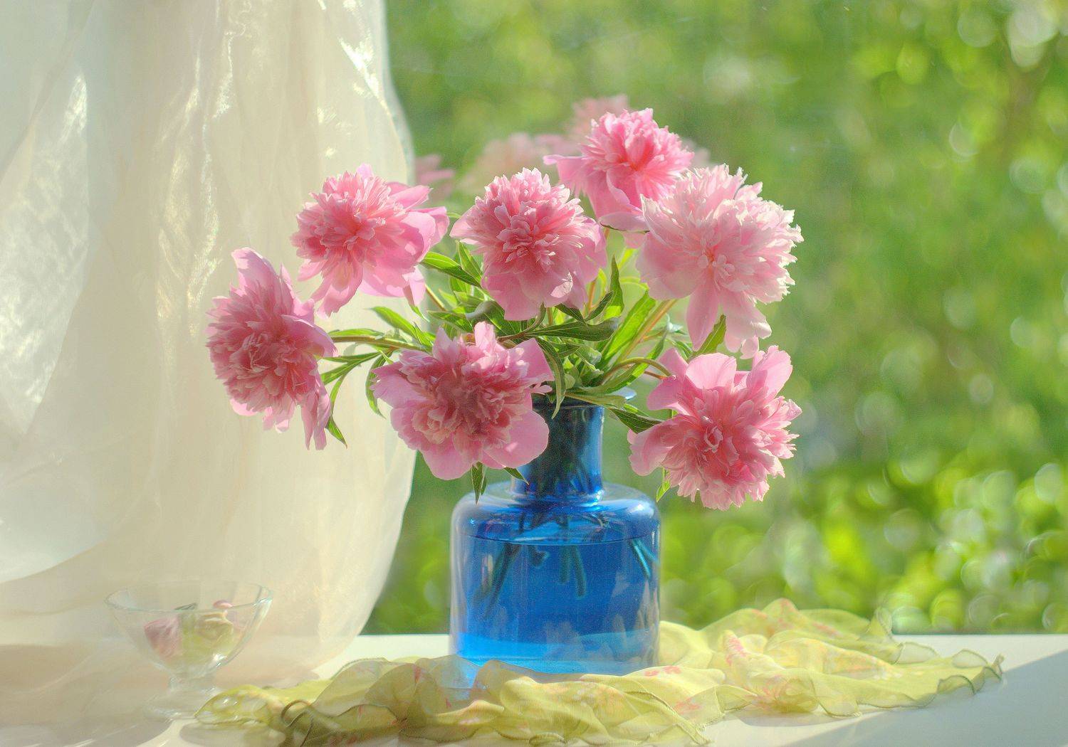 , Хохлова Наталья