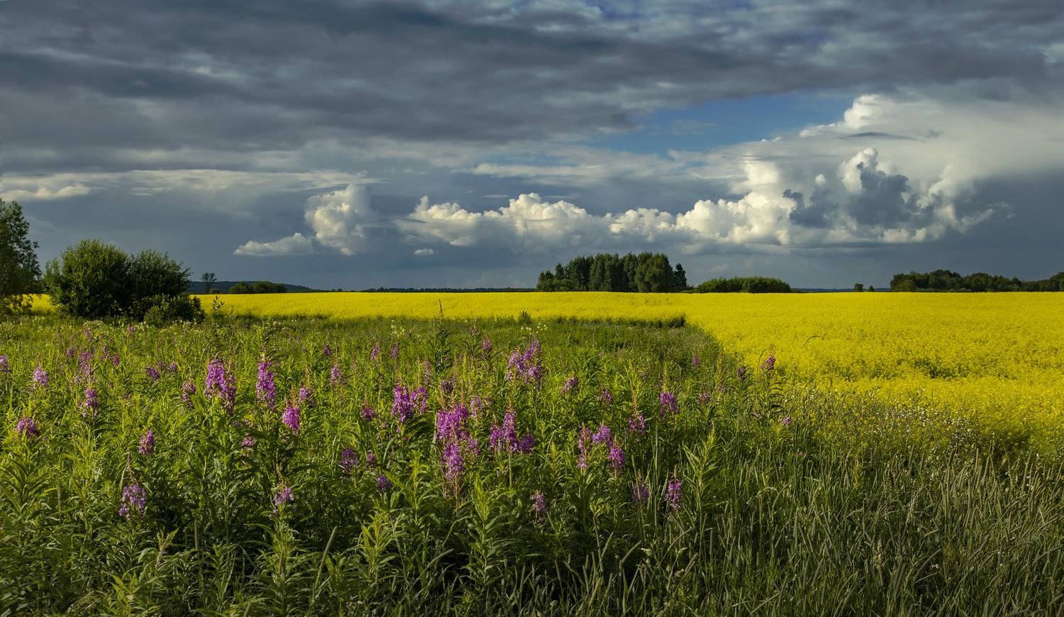 , Хахлов Алексей