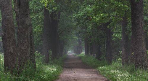 Летом