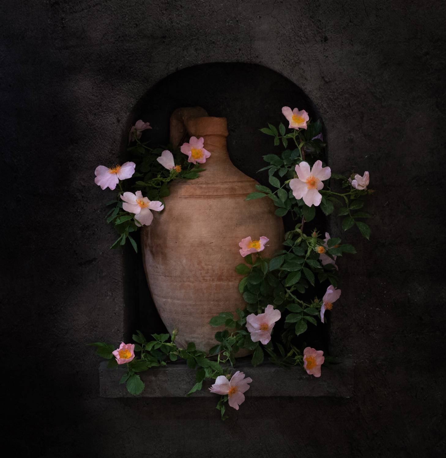 натюрморт, цветы, шиповник, Оля