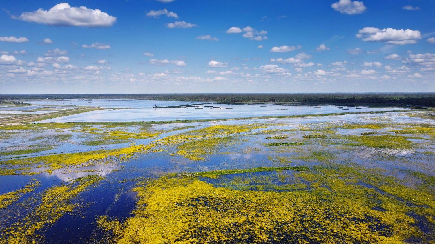 , Сергей Шляга