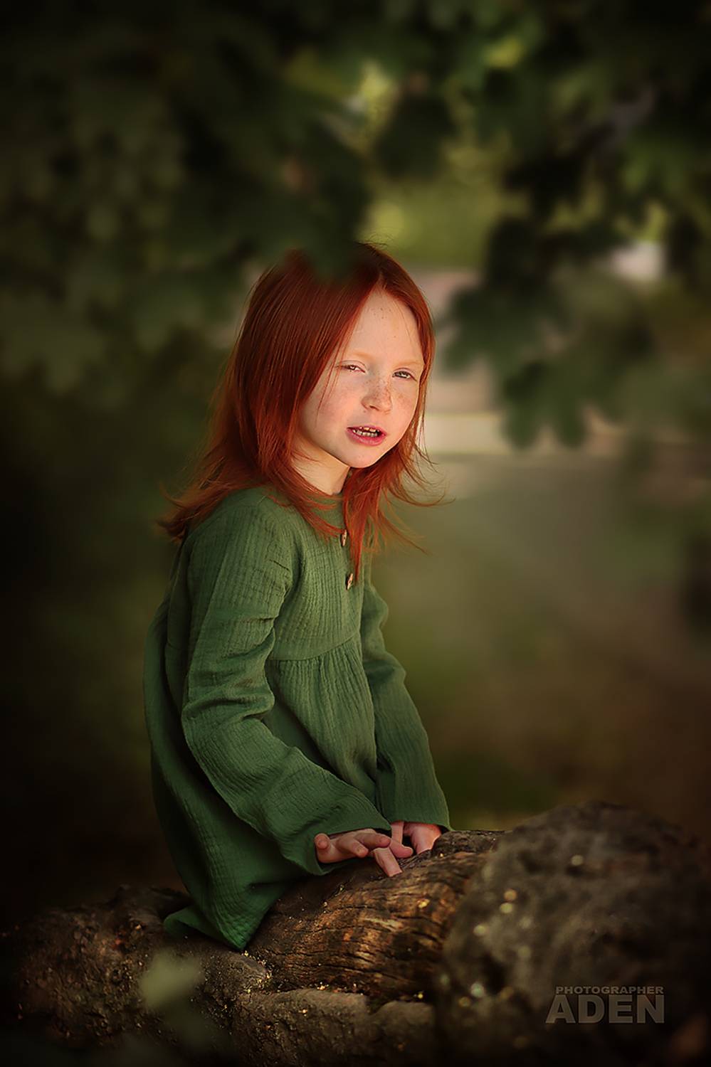 , Алексей Денисов