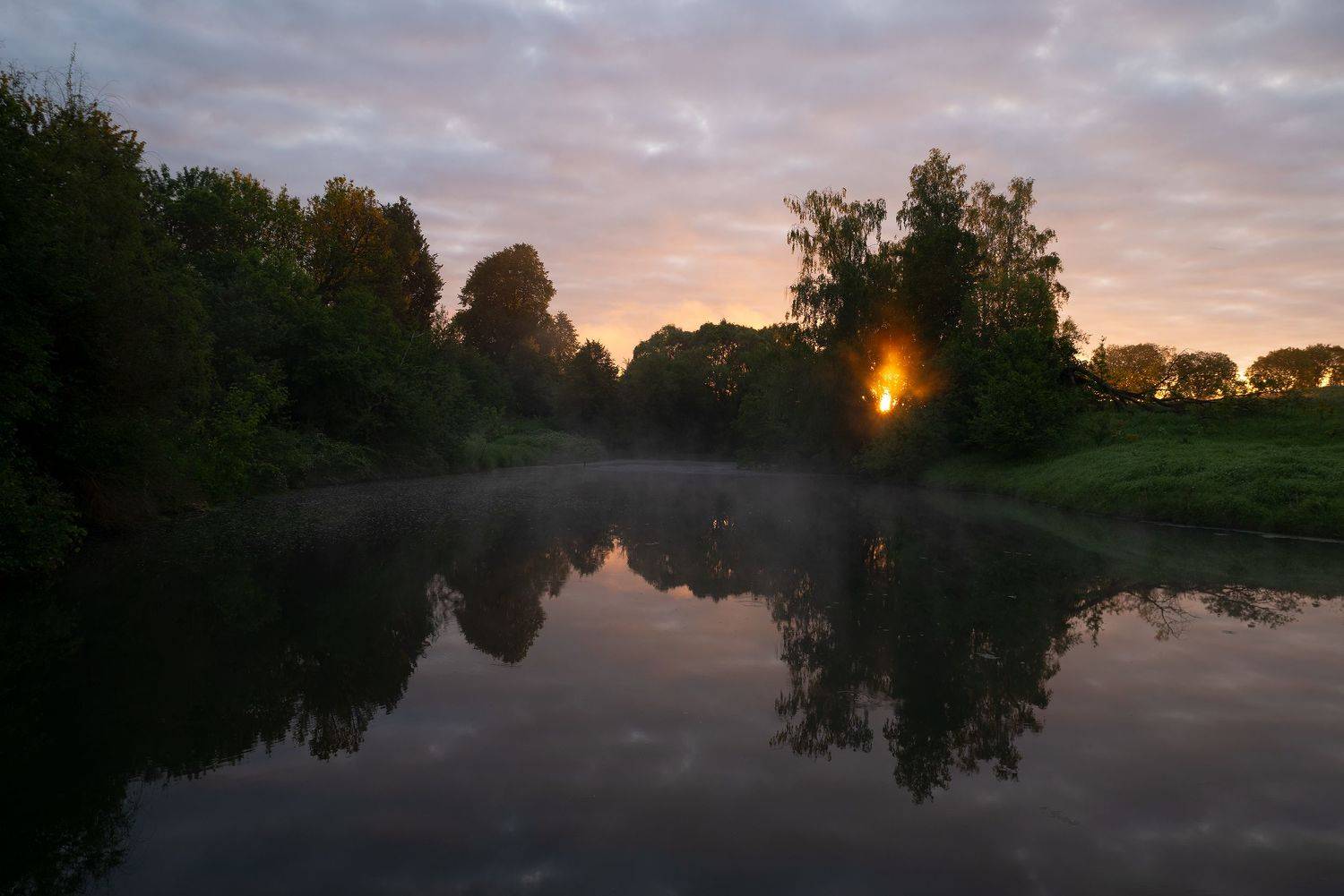 , Стрельцов Виталий