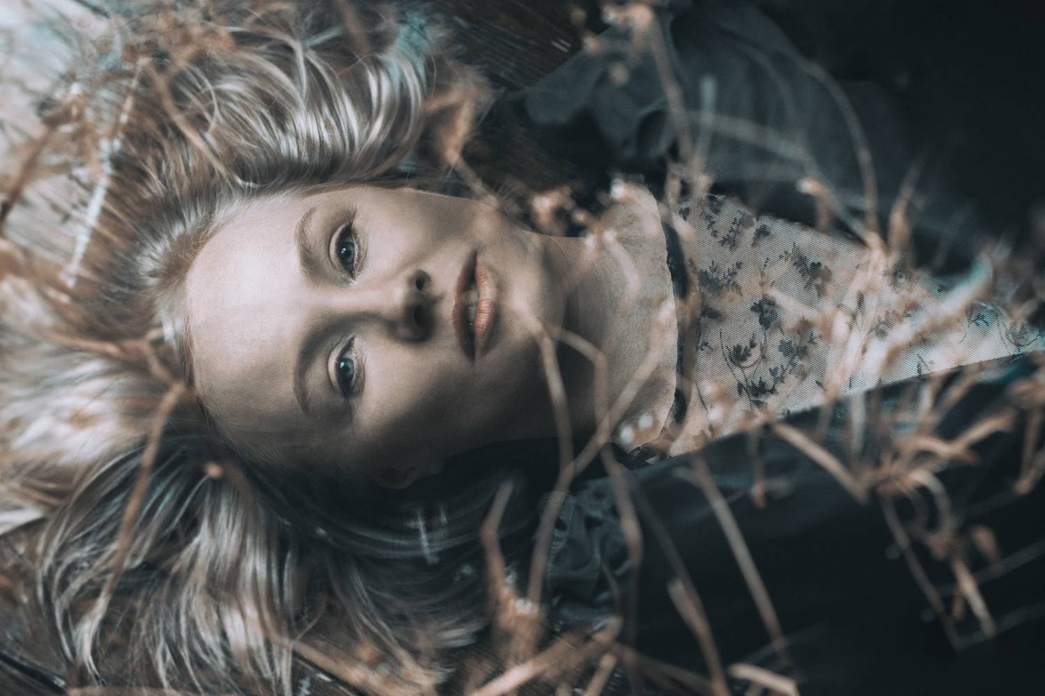 , Ашкинази-Исаченко Владимир