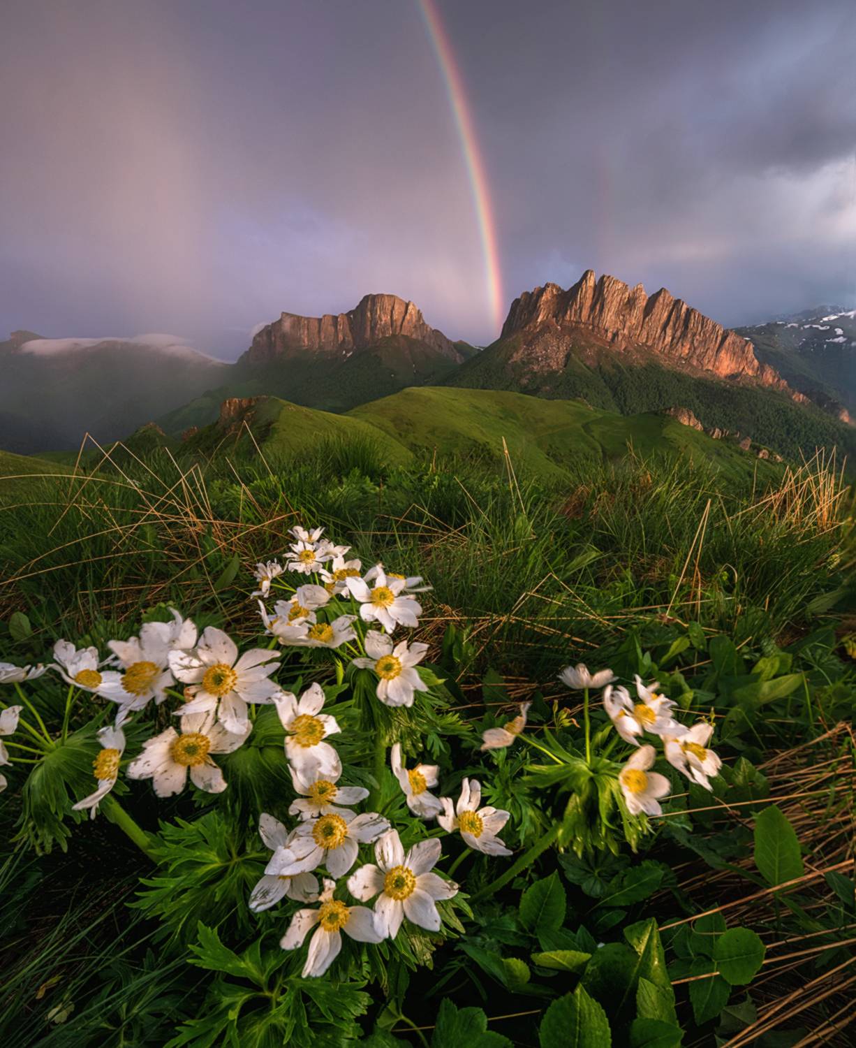 западный кавказ, природный парк большой тхач, Мысливцев Николай
