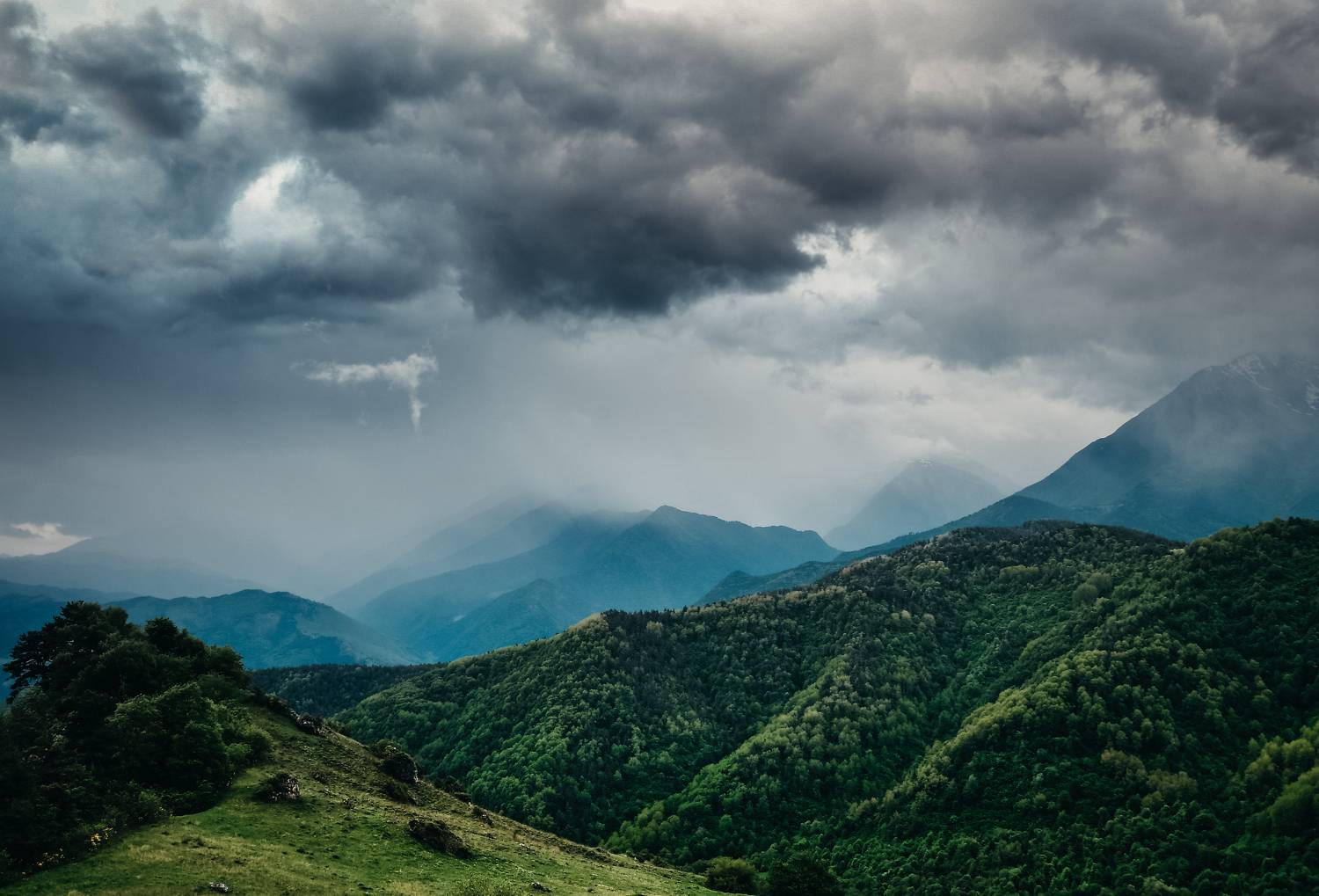 , Tatiana Meshcheryakova