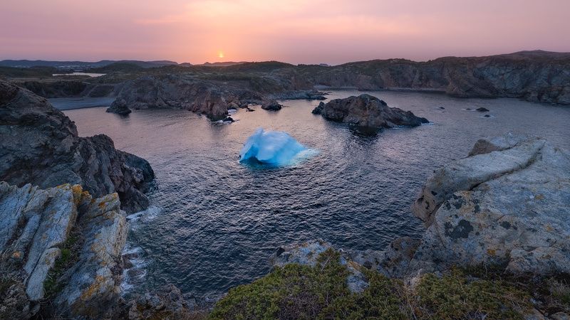 Пришелец фото превью