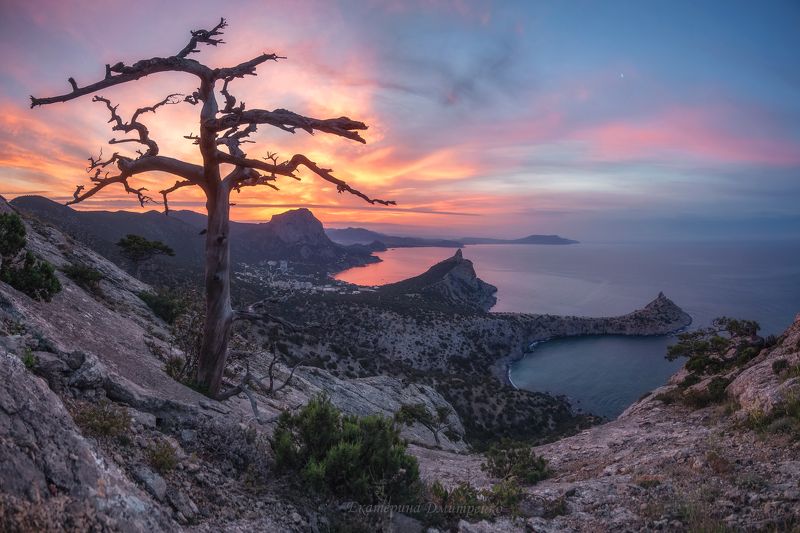 Летний рассвет фото превью