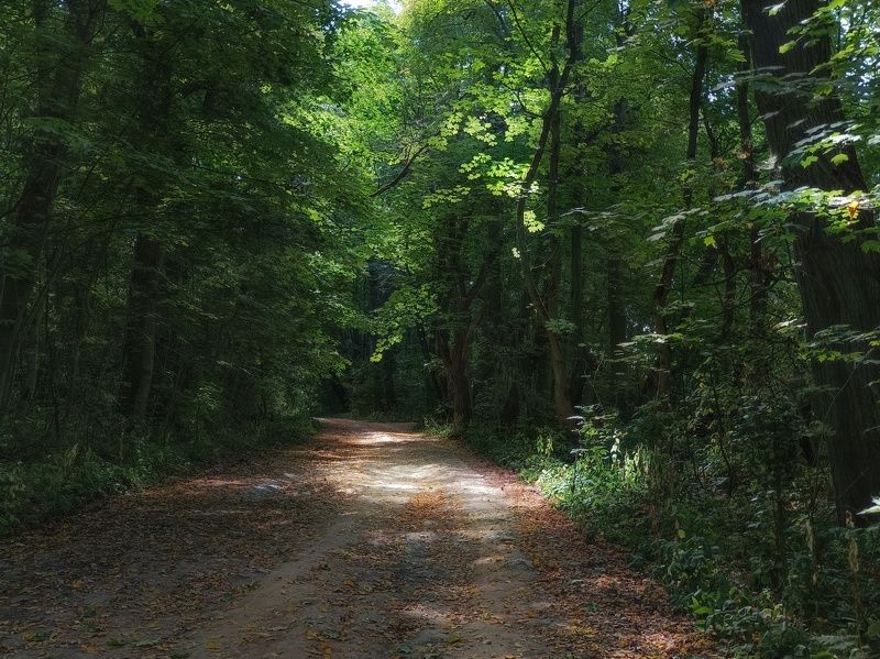 фото превью